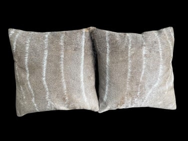 (2) Big KUDU Hide PILLOWS (ONE$)