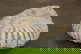 item-209901728=6