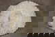 item-209901728=7
