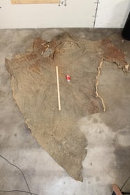 XL Piece of Soft and Tanned African ELEPHANT Hide
