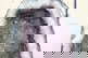 item-209901746=9