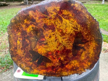 3 MOTHS Encased in Simulated AMBER with a Display Stand