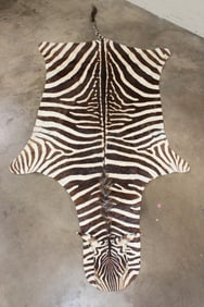 Soft and Pliable ZEBRA Hide