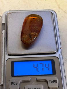 Big 23.65 ct AMBER Myanmar Fossil Resin with Wasp and Mosquito Inclusions: Big Authentic Myanmar AMBER Fossil Resin Specimen with a Wasp and a Mosquito Inclusion. It measures 1.5" Long x 0.8" Wide x 0.4" Thick and comes with a 3.5" x 3.5" Display Case. The Total Weight is 4.