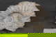 item-209901803=2