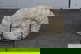 item-209901803=6