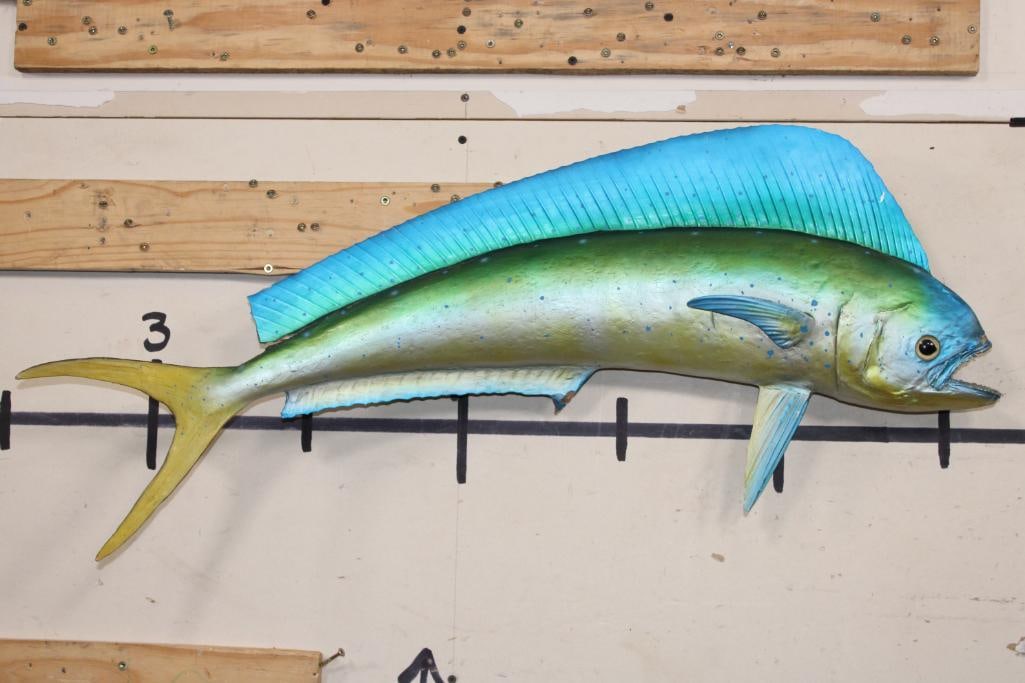 Real Skin MAHI-MAHI Fish Mount (1 of 9)