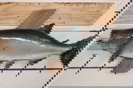 Big *Real Skin* KING SALMON or "Chinook Salmon" on a Wood Wall Hanger: Big *Real Skin* KING SALMON "Chinook Salmon" on a Wood Wall Hanger. It measures 36" Long. Chinook Salmon, also known as king salmon, are the largest species of Pacific salmon. TAXIDERMY FISH&nbsp;