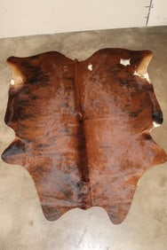 *Brand New* Brindle with White COW HIDE