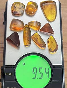 (10) Pieces of Authentic Myanmar AMBER Fossil Specimens with Insects, Weight: 9.54 grams (ONE$): 10 Pieces of Authentic Myanmar AMBER Fossil Specimens with Insects Inside. The Total Weight is 9.54 grams. These Amber Specimens were mined in Burma. They come with a display case as shown. Each piece