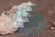 item-209901878=1