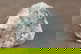 item-209901878=5