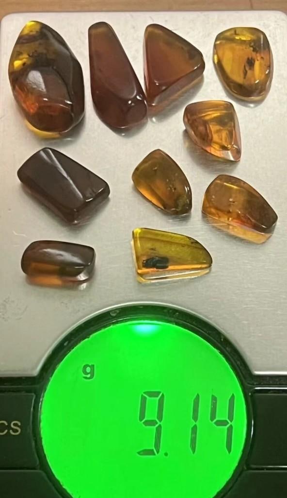 (10) Pieces of Authentic Myanmar AMBER Fossil Insect and Plant Specimens, Weight: 9.14 g (ONE$) (1 of 12)