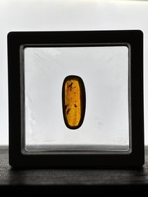 Authentic 10.3 ct Myanmar AMBER Fossil Resin with a Horsefly Inclusion