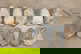 item-209901933=7
