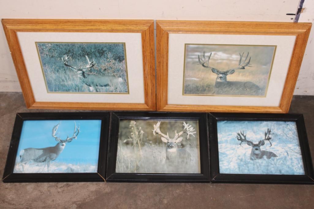 (5) Framed MULE DEER Photo Prints (ONE$) (1 of 9)