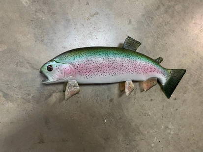 *New in the Box* RAINBOW TROUT Fish Mount: *New in the Box* RAINBOW TROUT Fish Mount with a wire hanger. It measures approximately 14" long. Excellent Fish Taxidermy for nautical decor. TAXIDERMY FISH