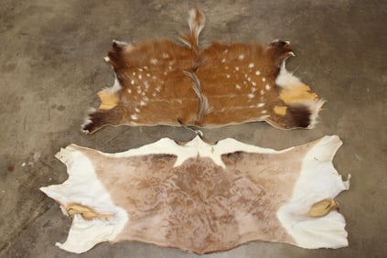 (1) BUSHBUCK Back Hide and (1) IMPALA Back Hide (ONE$)