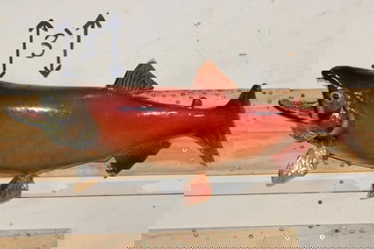 *Real Skin* SOCKEYE SALMON Fish Mount
