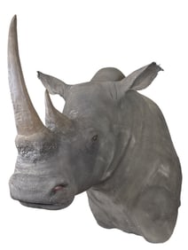 *TEXAS RESIDENTS ONLY* *Real Skin* RHINOCEROS Shoulder Mount with Reproduction Horns