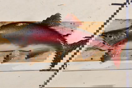 *Real Skin* STEELHEAD TROUT Fish Mount