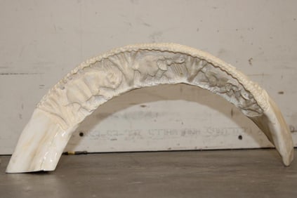 Largest Hand-carved HIPPOPOTAMUS Ivory Tusk we've Ever Seen!