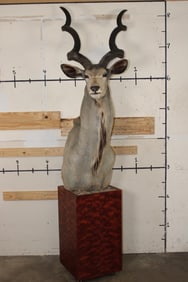 XXL KUDU Pedestal Mount (with Wheels)
