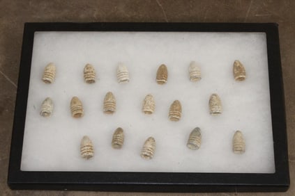 (17) Civil War Era "Minie Balls" Lead Bullets in a Display Case (ONE$)