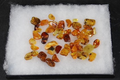 Authentic Raw and Polished "Baltic Gold" AMBER Gemstones, Weight 39.08 g (ONE$)