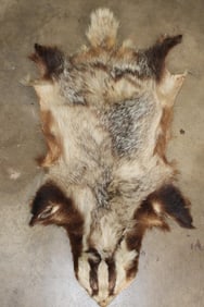 North American BADGER Hide or Pelt