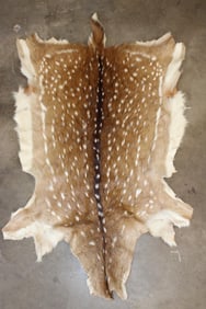 AXIS DEER HIDE