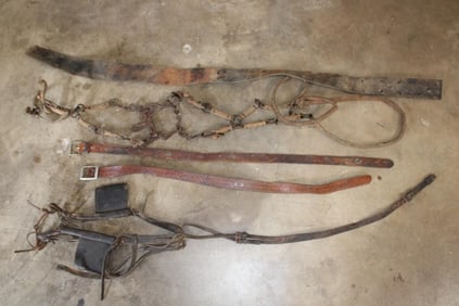 Antique "Old West" Horse Bits, Bridals, 2 Tooled Leather Belts, and a Leather Strap (ONE$)