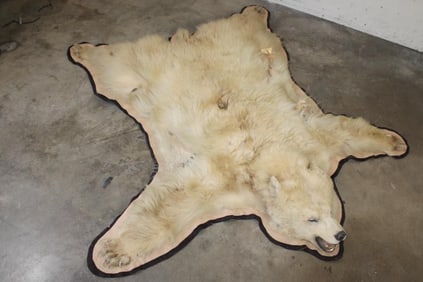 Blonde Phase BLACK BEAR Rug