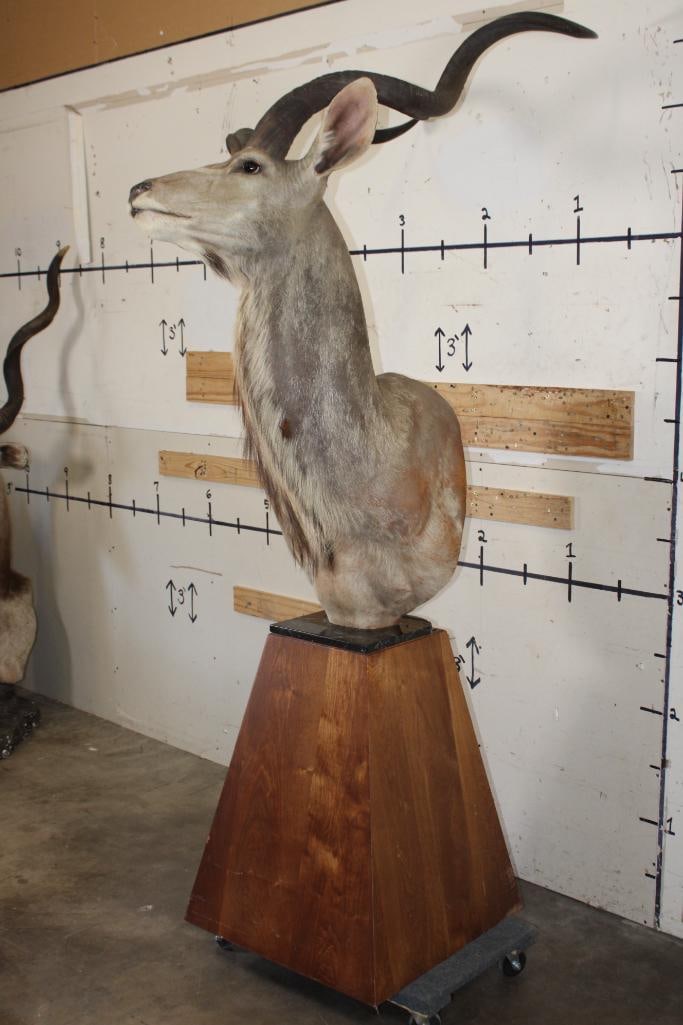 KUDU Pedestal Mount with a Marble Base Top and a Wood Pedestal: KUDU Pedestal Mount with a Marble Base Top and a Wood Pedestal. It measures approximately 7' 2" Tall x 2" Wide x 46" Depth (from the wall). The Kudu/Marble Slab are removable. The marble on the back s