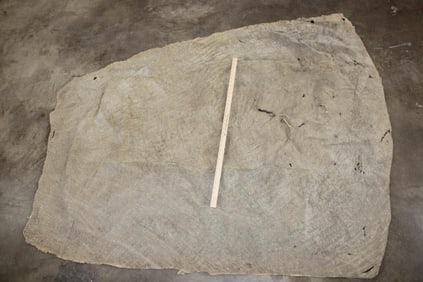 Big Soft and Tanned Piece of ELEPHANT Hide