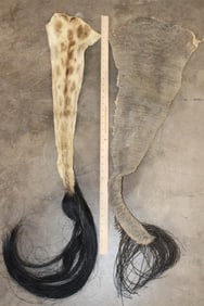 (1) GIRAFFE and (1) ELEPHANT Tail (ONE$)
