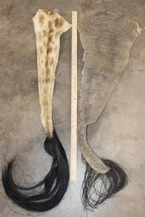 (1) GIRAFFE and (1) ELEPHANT Tail (ONE$): 1 GIRAFFE Tail and 1 ELEPHANT Tail. They measure 43" Long each. (ONE$) TAXIDERMY