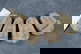 item-209902564=1