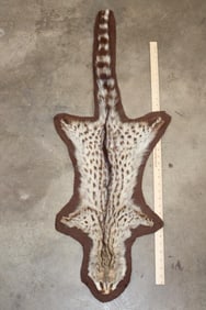 SPOTTED GENET CAT Hide Rug with Brown Felted Backing