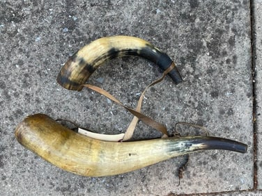 (1) Antique Powder Horn and (1) Antique Blow Horn for Hounds (ONE$)