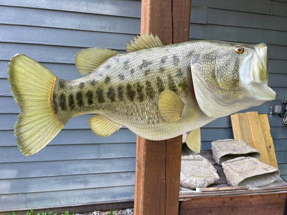 *New* Huge Reproduction LARGE MOUTH BASS Fish Mount: *New in the Box* Massive LARGE MOUTH BASS Fish Mount. It measures 25" Long x 12" Wide. This is a Big Bass! It will look incredible on any wall, in any space. TAXIDERMY FISH