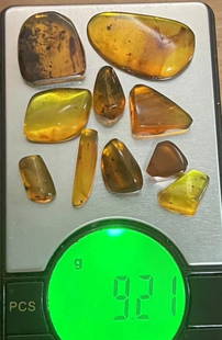 (10) Pieces of Authentic Myanmar AMBER Fossil Insect and Plant Specimens, Weight: 9.21 g (ONE$): 10 Pieces of Authentic Myanmar AMBER Fossil Specimens with Insects inside. The Total Weight is 9.21 grams and they come with a display case as shown. These were mined in Burma and are approximately 99