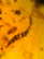 item-209902677=4