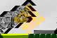 item-209902710=1