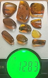 (10) Pieces of Authentic Myanmar AMBER Fossil Insect and Plant Specimens, Weight: 12.83 g (ONE$): 10 Pieces of Authentic Myanmar AMBER Fossil Specimens with Insects inside. The Total Weight is 12.83 grams and they come with a display case as shown. These were mined in Burma and are approximately 9