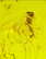 item-209902735=12