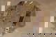 item-209902745=10