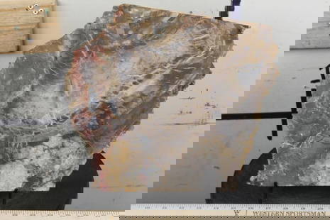 BIG 9lb 7oz Natural Arizona Rainbow PETRIFIED WOOD Slab Slice with Stand: BIG Natural or Raw Arizona Rainbow Petrified Wood Slab with a Metal Display Stand. It could be polished up nicely. The Total Weight: 9lb 7oz. and it measures 12.25" Long x 10.75" Wide x 1" Thick. ROCK