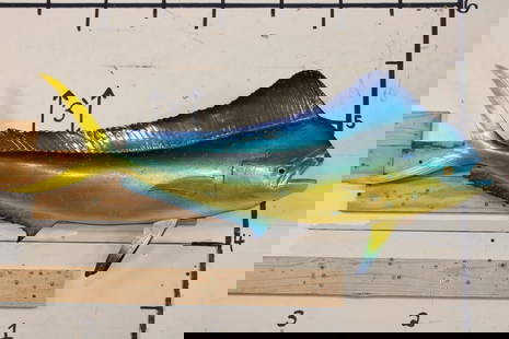 Reproduction MAHI MAHI Fish Mount: Very Nice reproduction MAHI MAHI Fish with vibrant colors. It measures 45.75" Long and is in Very Good Condition. TAXIDERMY FISH