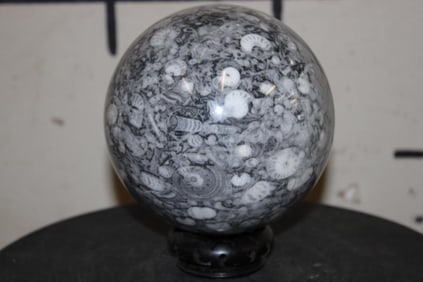 Big and *Rare* 9 lb CRINOID, AMMONITE and ORTHOCERAS Fossil Sphere  with a Hand-carved Wooden